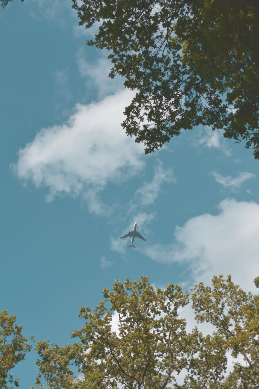 low angle photo of airplane flying